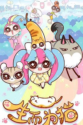 优化网站怎么提高流量